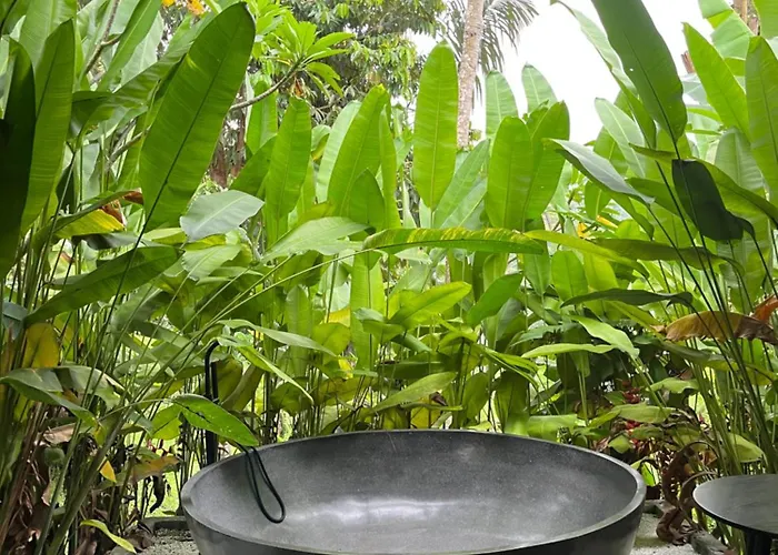 House Of Joy By Bcg * Ubud